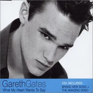 What my heart want to stay